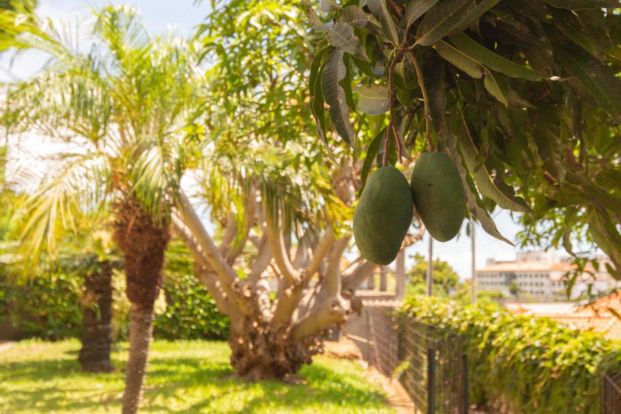 Pilar House Villa Funchal  Eksteriør bilde